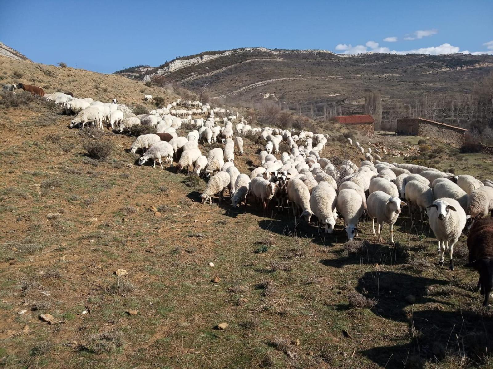 Casa Rural Chulilla Villarroya de los Pinares 외부 사진