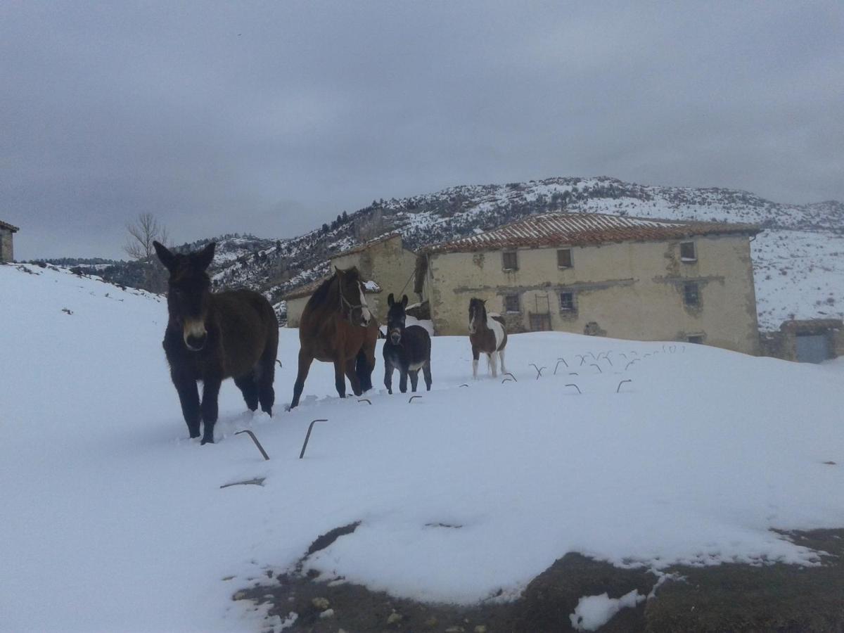 Casa Rural Chulilla Villarroya de los Pinares 외부 사진