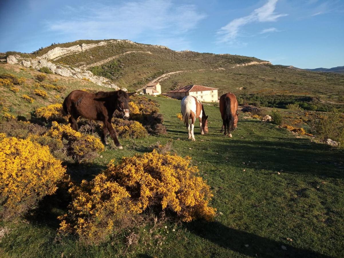 Casa Rural Chulilla Villarroya de los Pinares 외부 사진